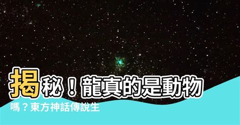 龍是動物嗎|「龍」是真正存在的嗎？專家已經證實